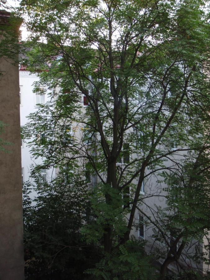 Apartamento Augartenblick Penthaus 16 Viena Exterior foto